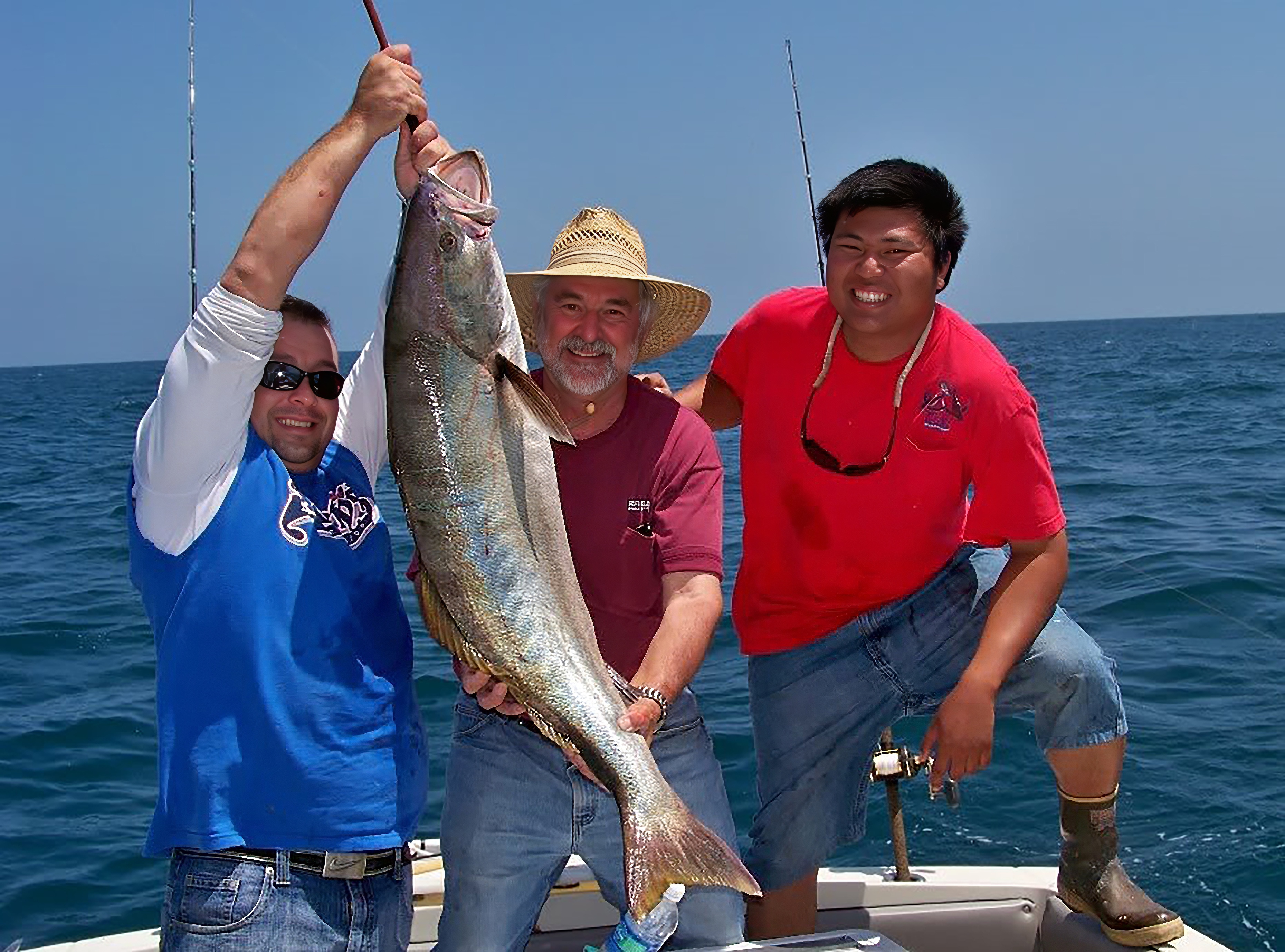 Tank White Seabass