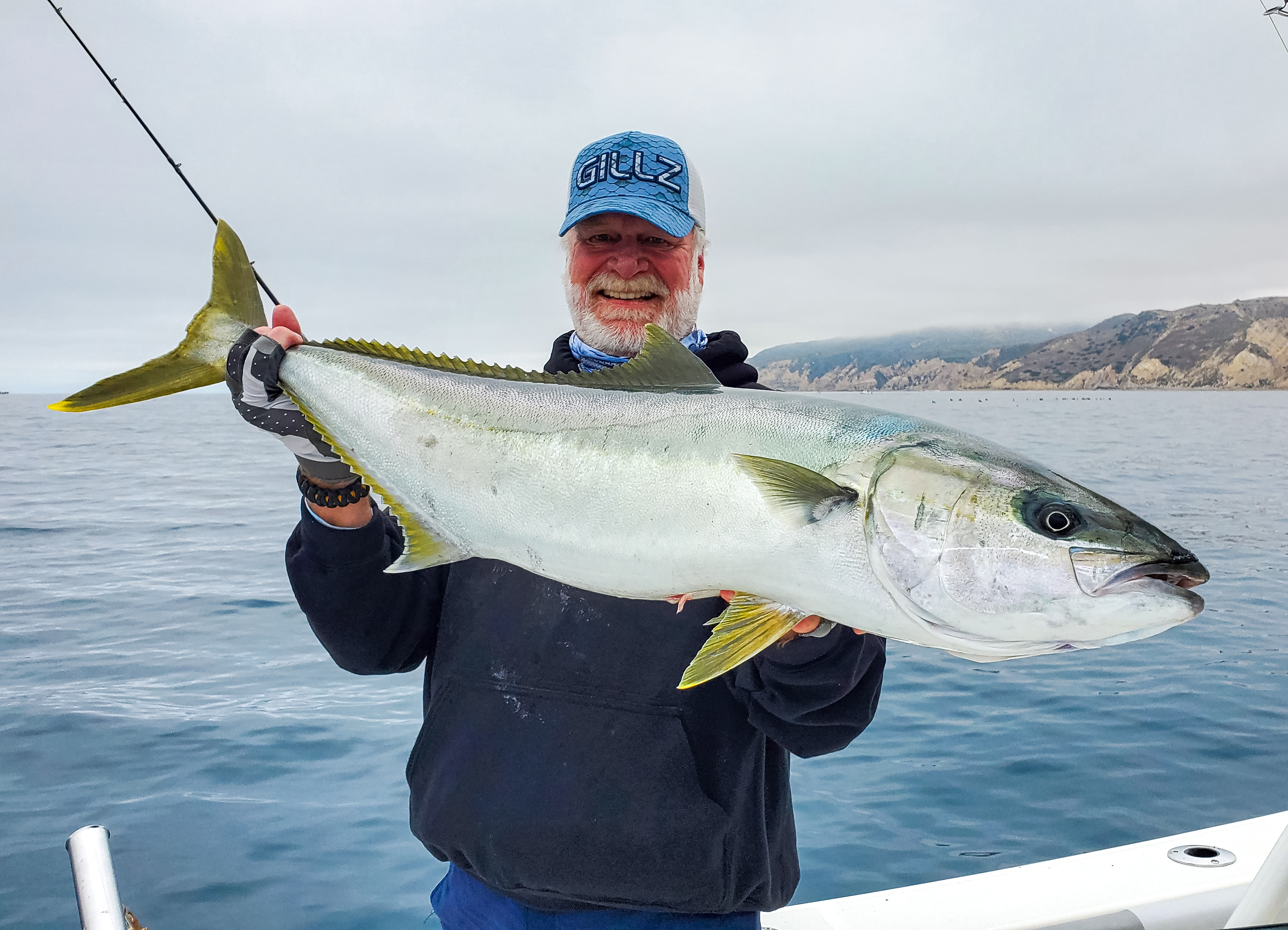 Yellowtail