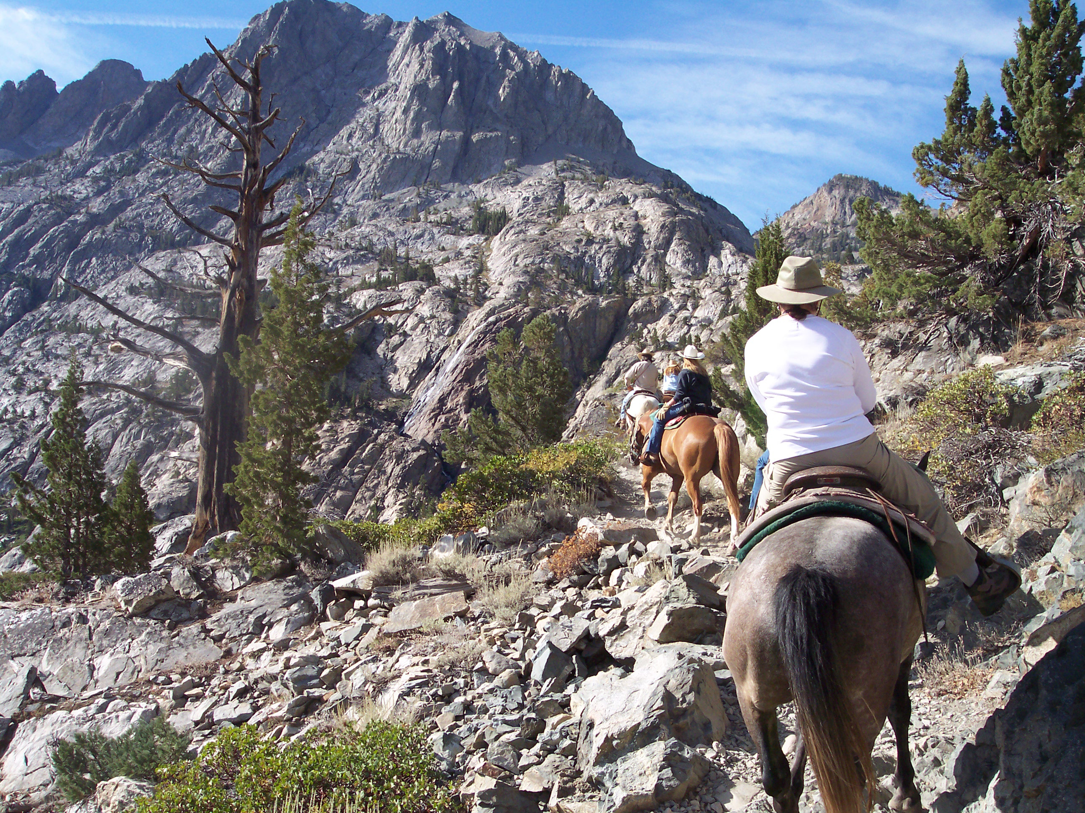 Frontier Pack Train Trip
