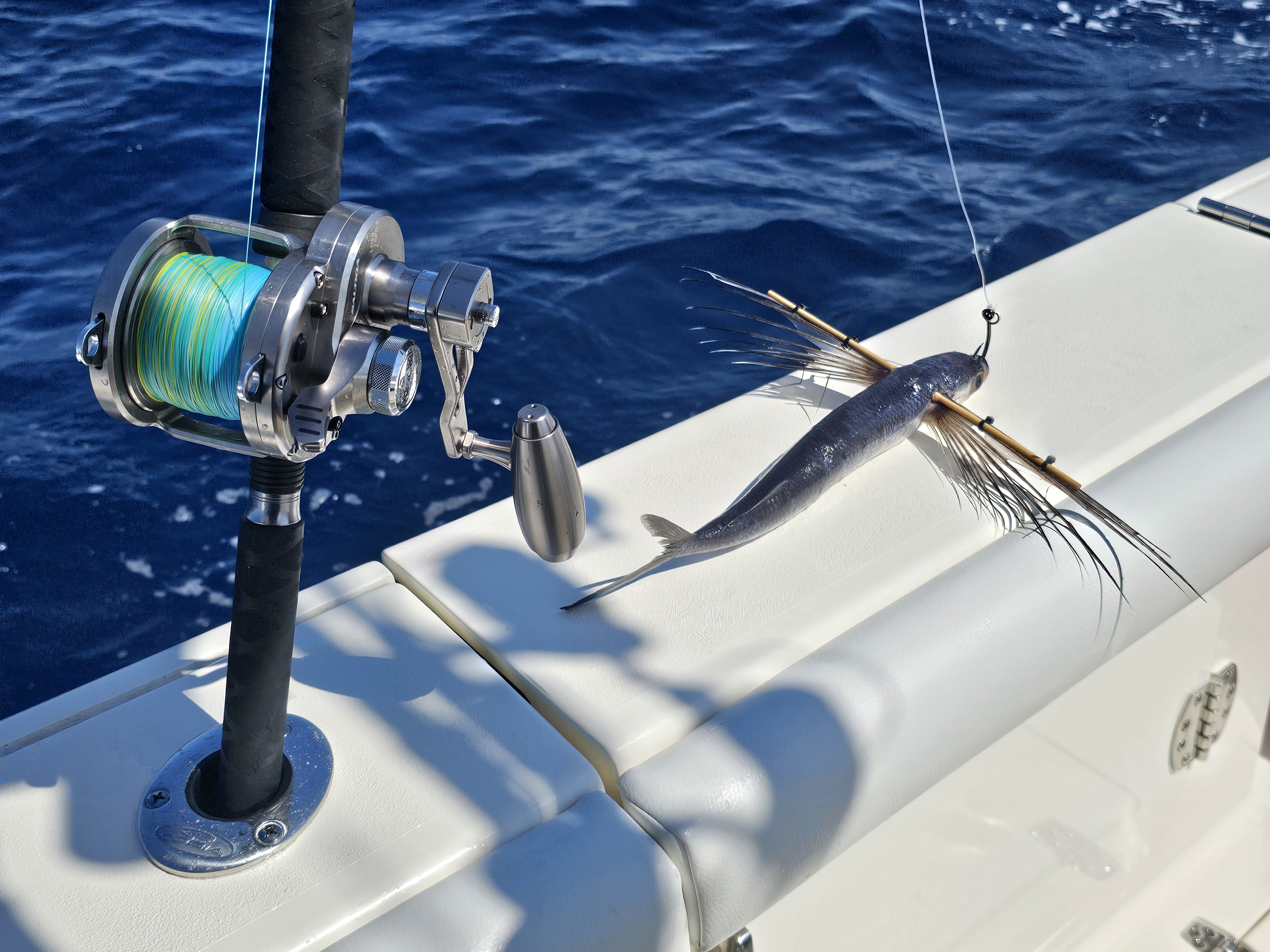Tuna Fishing with a Flying Fish