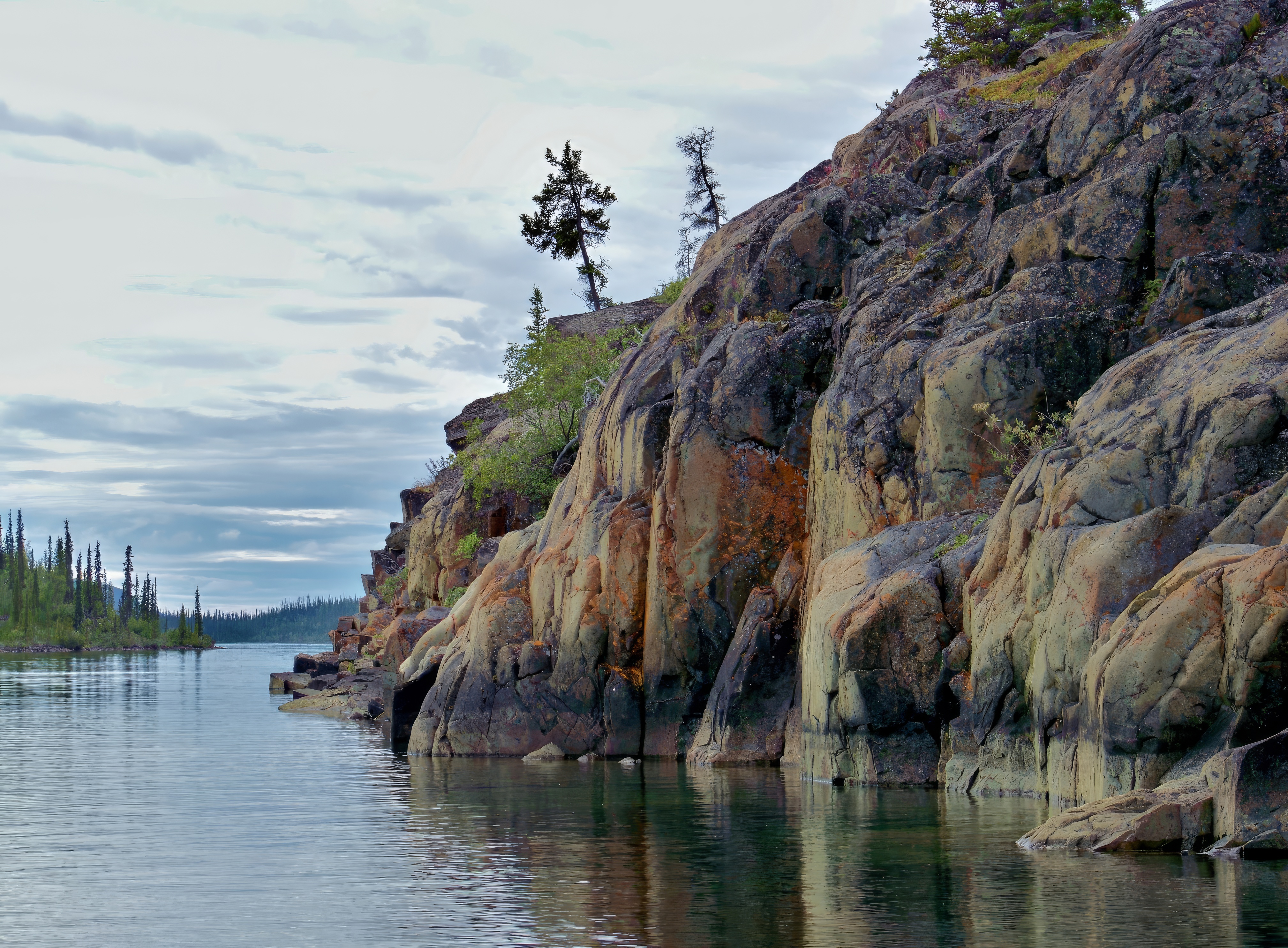 Lake Trout Swim in Amazing Places