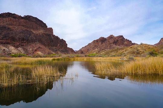 Exploring Colorado River Backwater