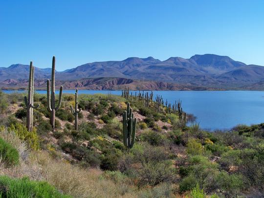 Roosevelt Lake Arizona