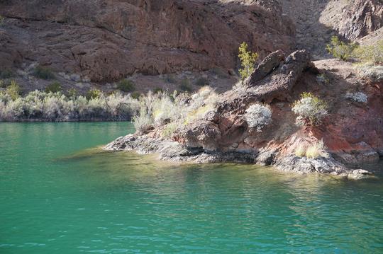 Rugged Desert Beauty