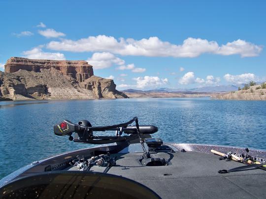 Wild Burro Bay, Lake Mead