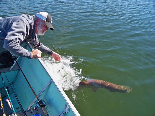 Northern Pike Release