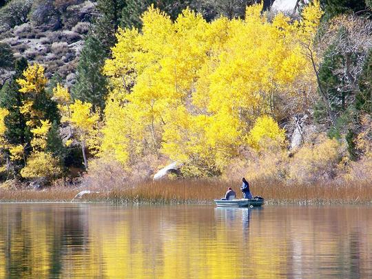 Fall on June Lake CA