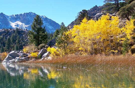 Fall Colors June Lake California