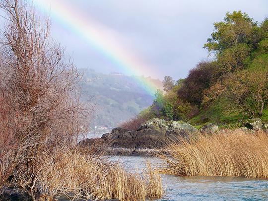 Searching For a Pot of Gold