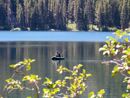 Float Tube Angler